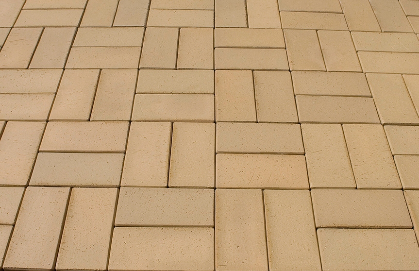 SIENA