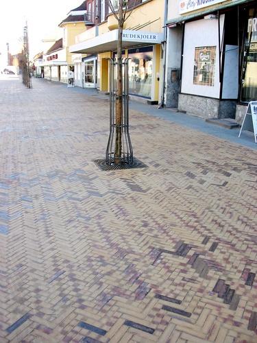 Kongensgade Odens?